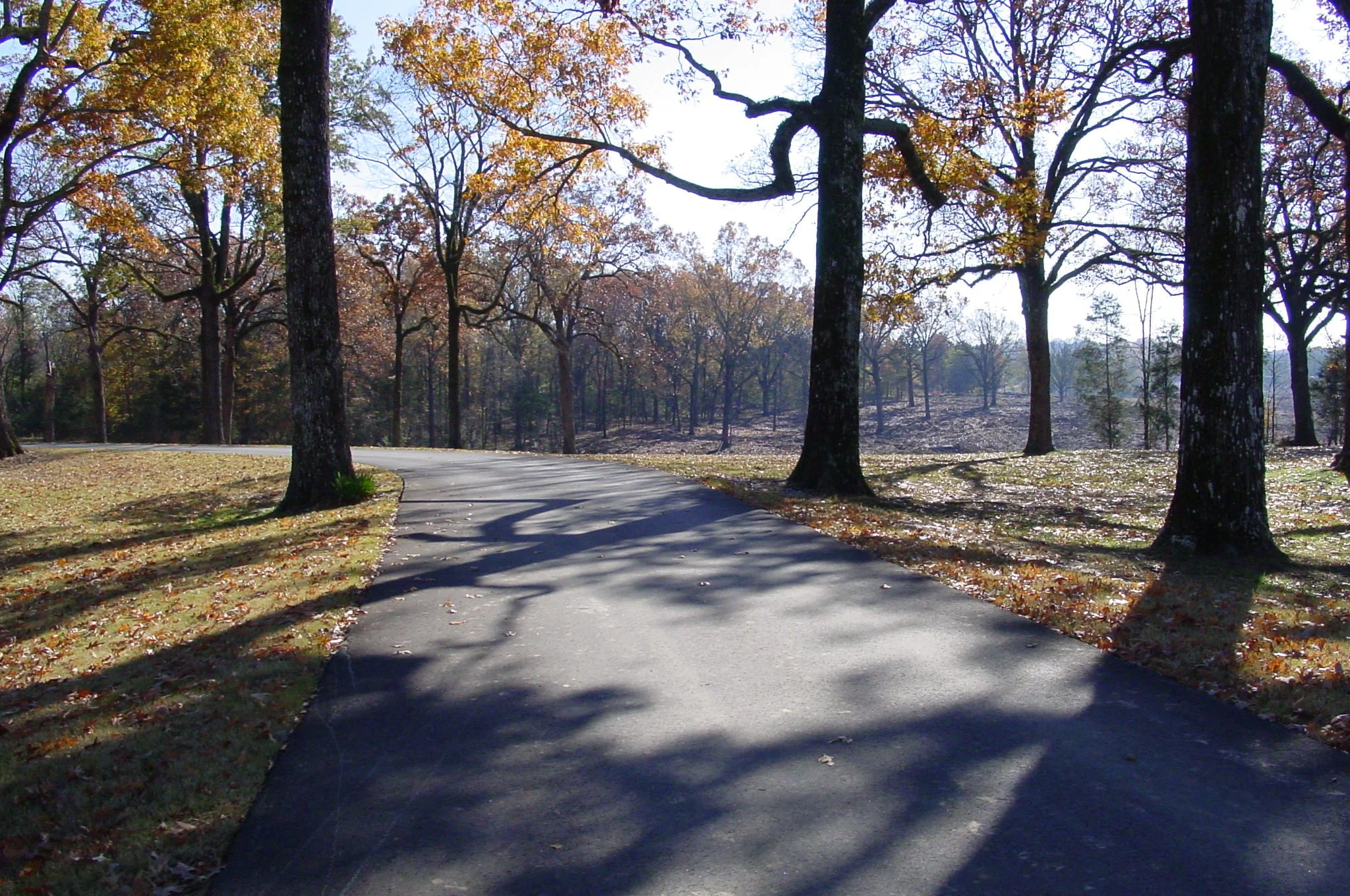 Reunion Entrance - Construction Progress