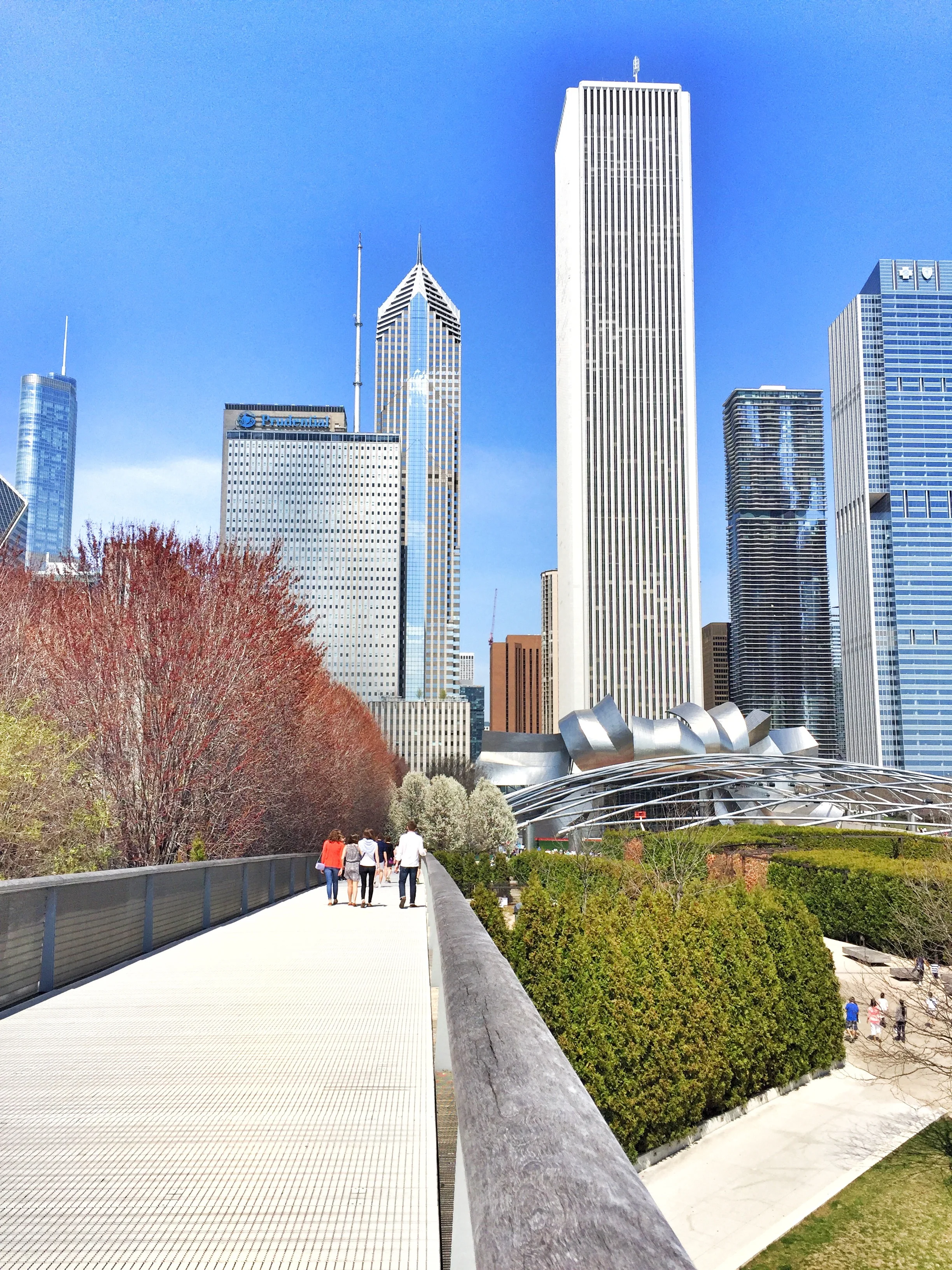 Sky Bridge facing North towards Millennium Park.