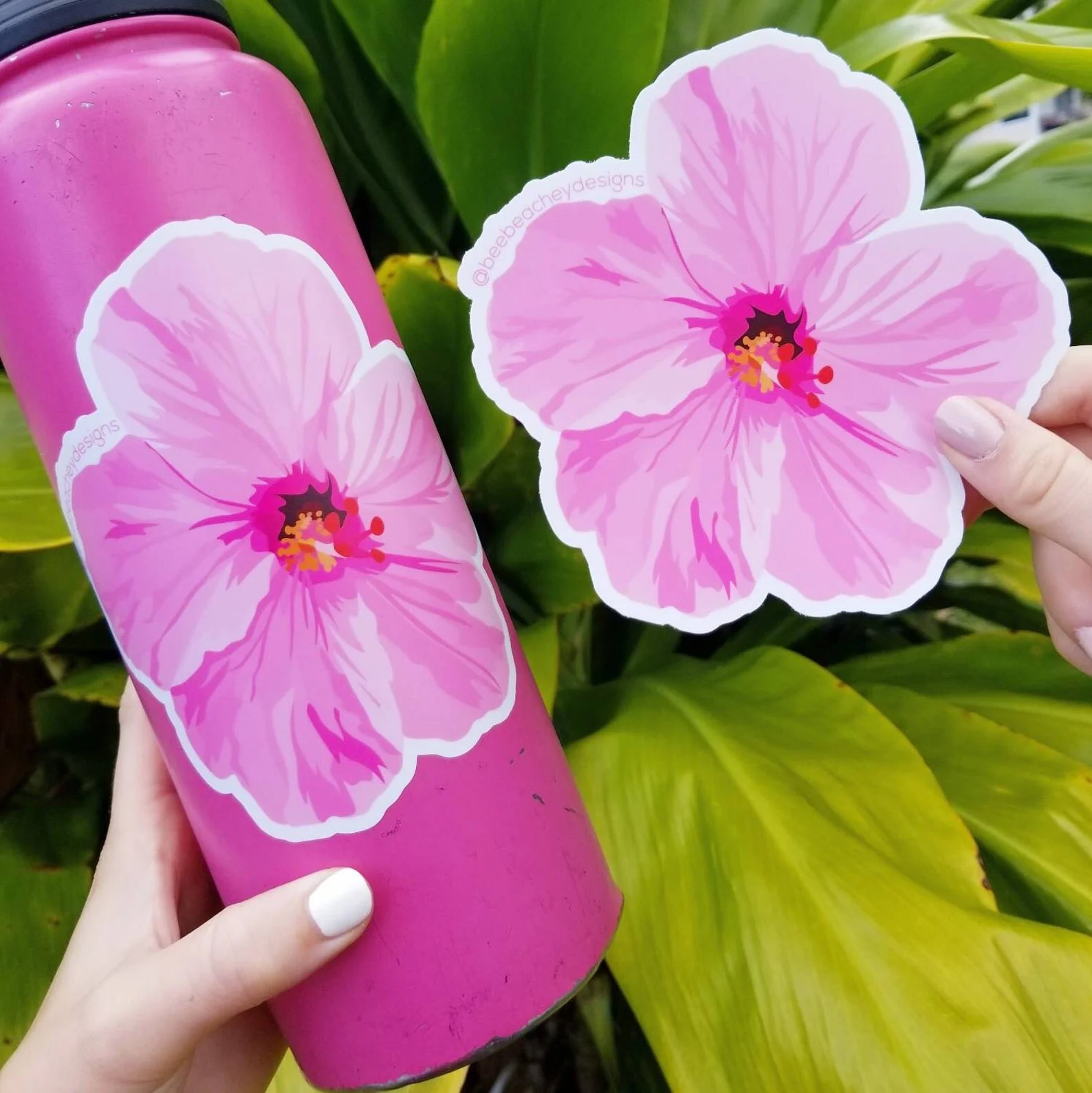 pink hib.jpg