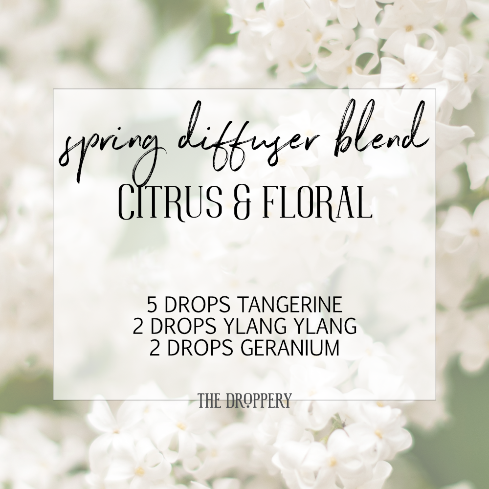 spring_diffuser_blend_citrus_and_floral.png