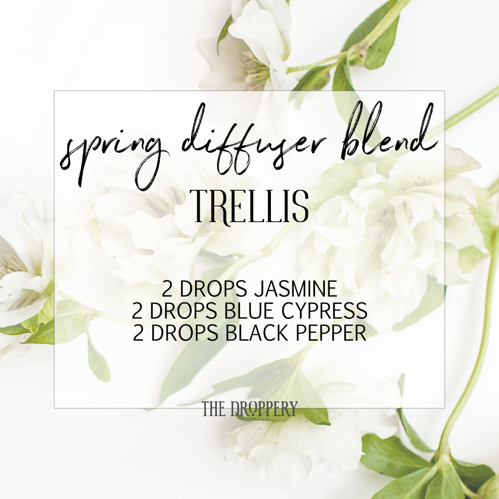 spring_diffuser_blend_trellis.png