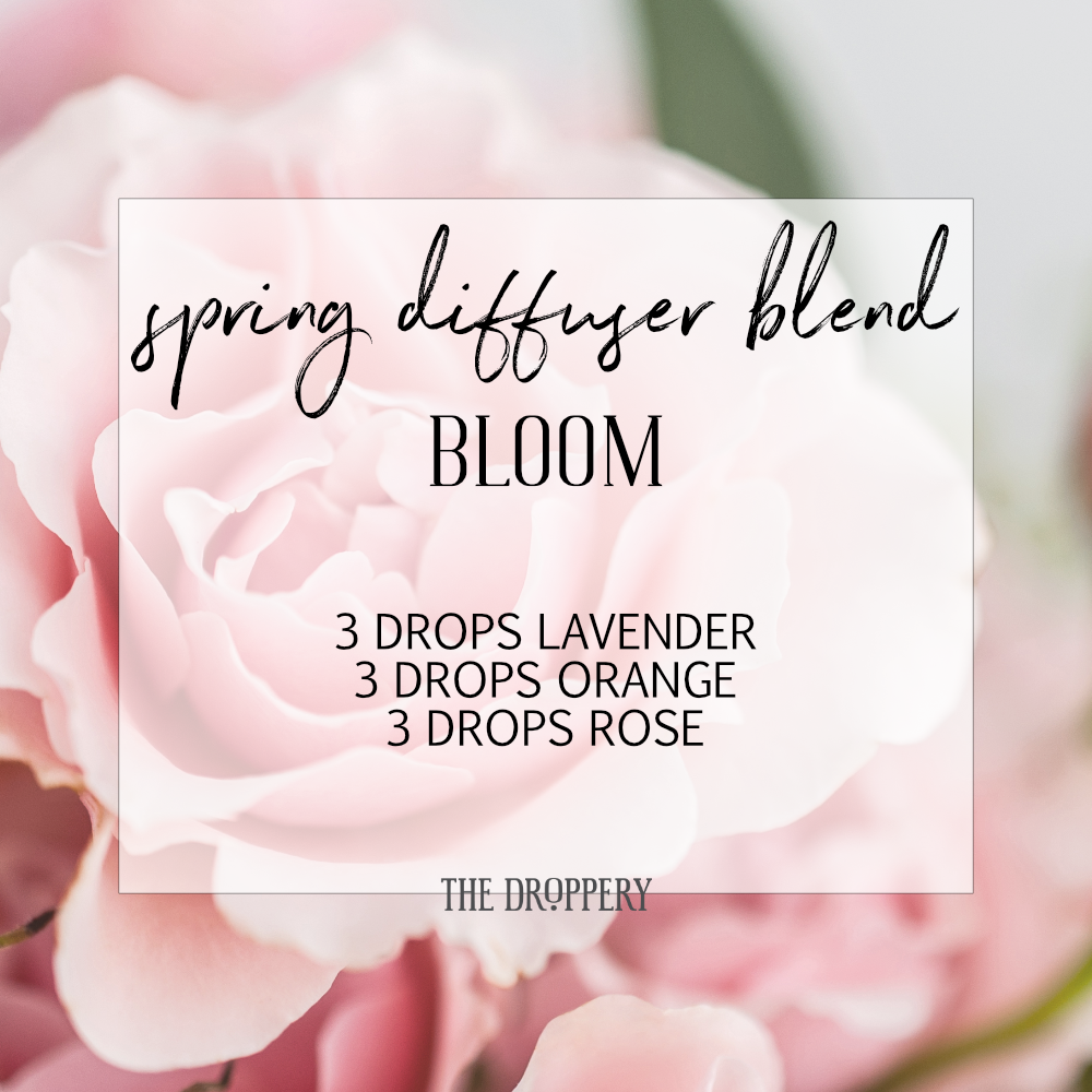 spring_diffuser_blend_bloom.png