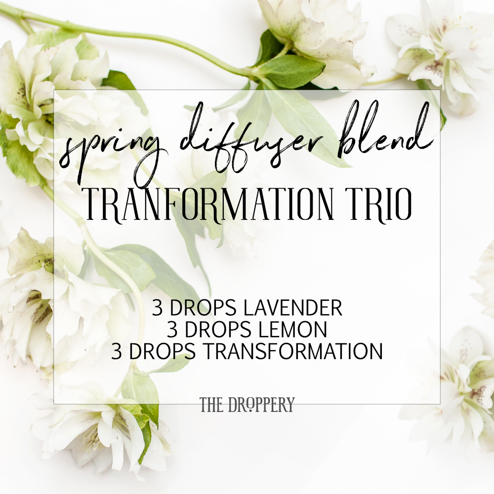 spring_diffuser_blend_transformation_trio.png