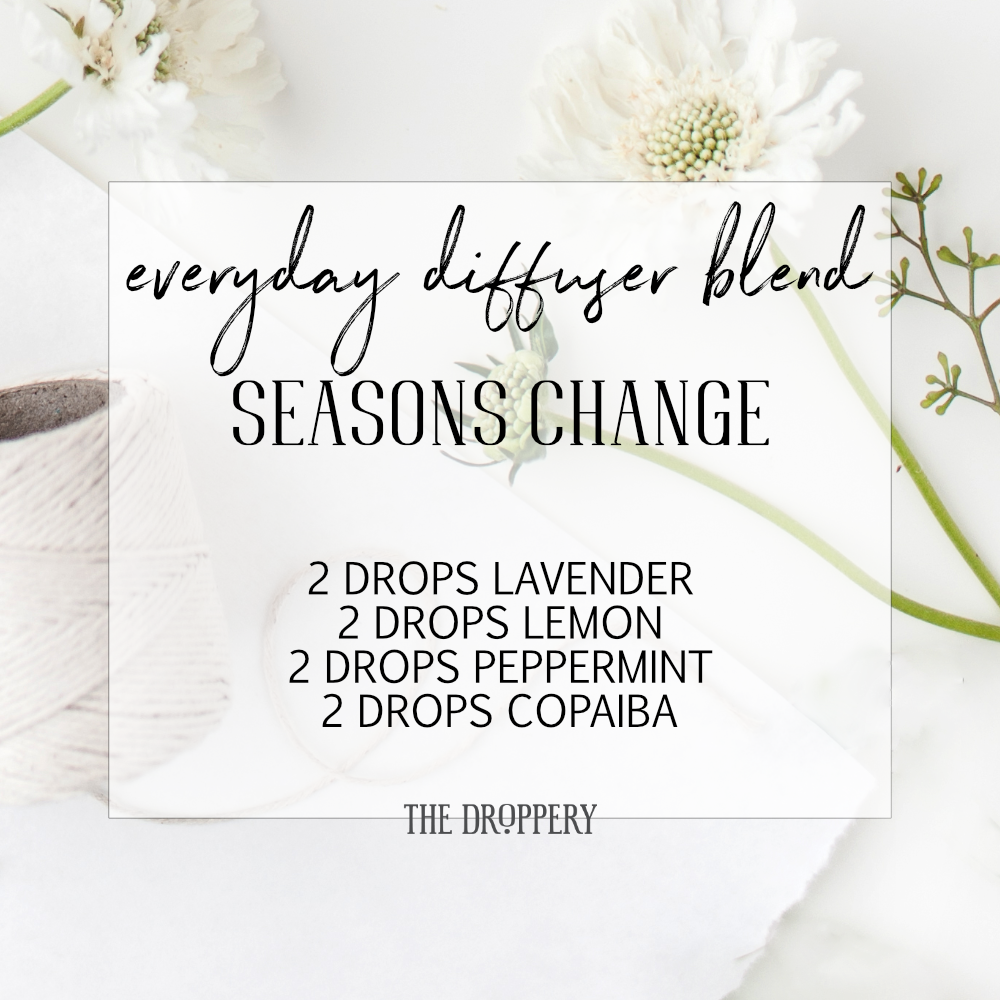  New seasons come with exciting and not-so-exciting changes. This is your perfect companion for entering into new seasons with a clear head! 