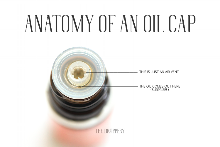 Anatomy_of_an_Oil_Cap.png