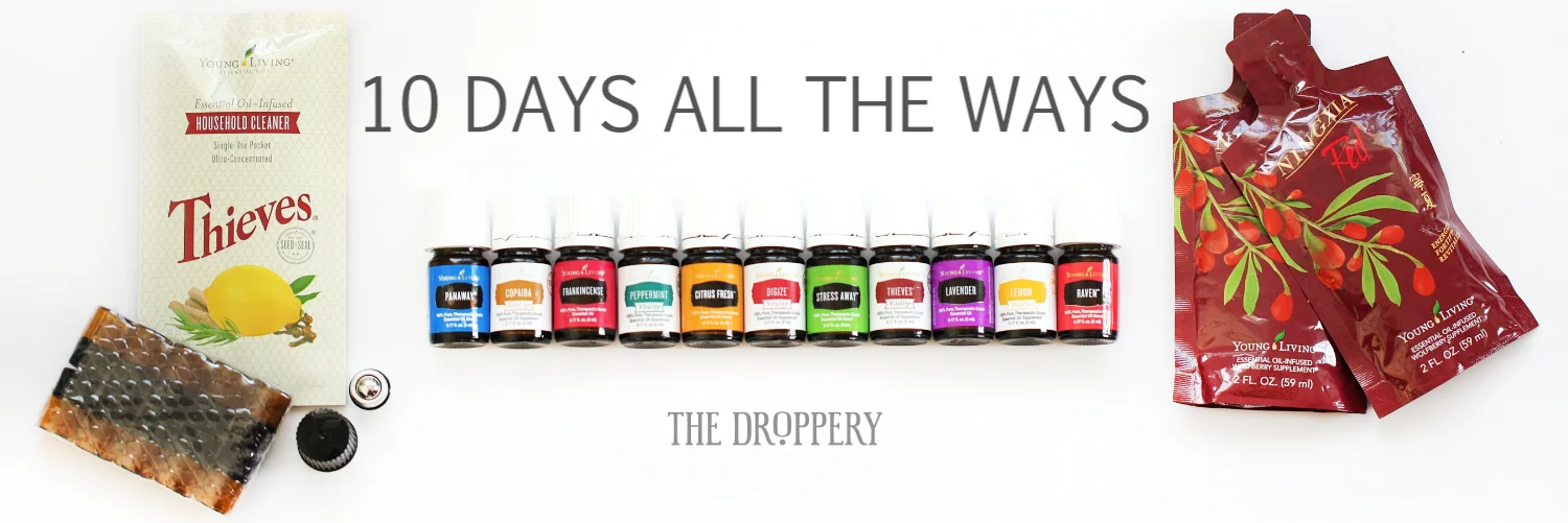 10 days all the ways.jpg