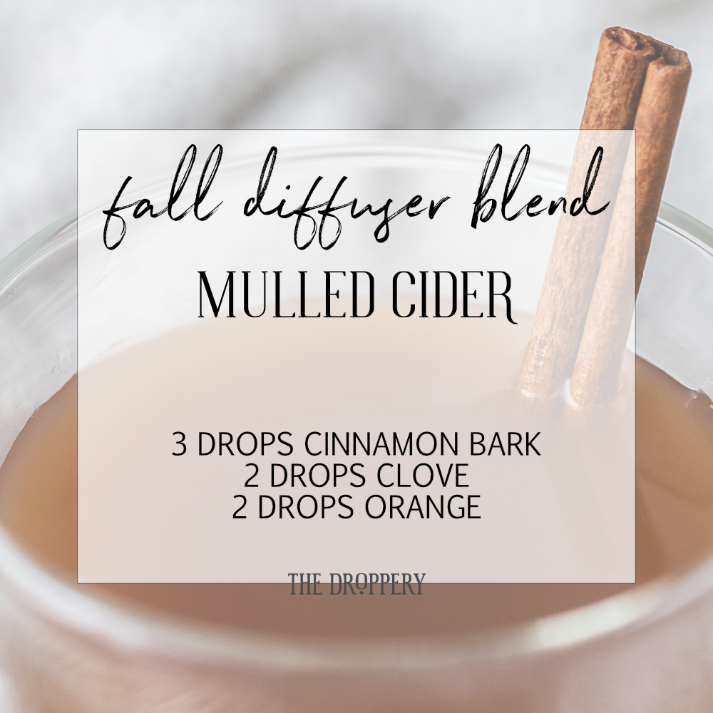 fall_diffuser_blend_mulled_cider.png
