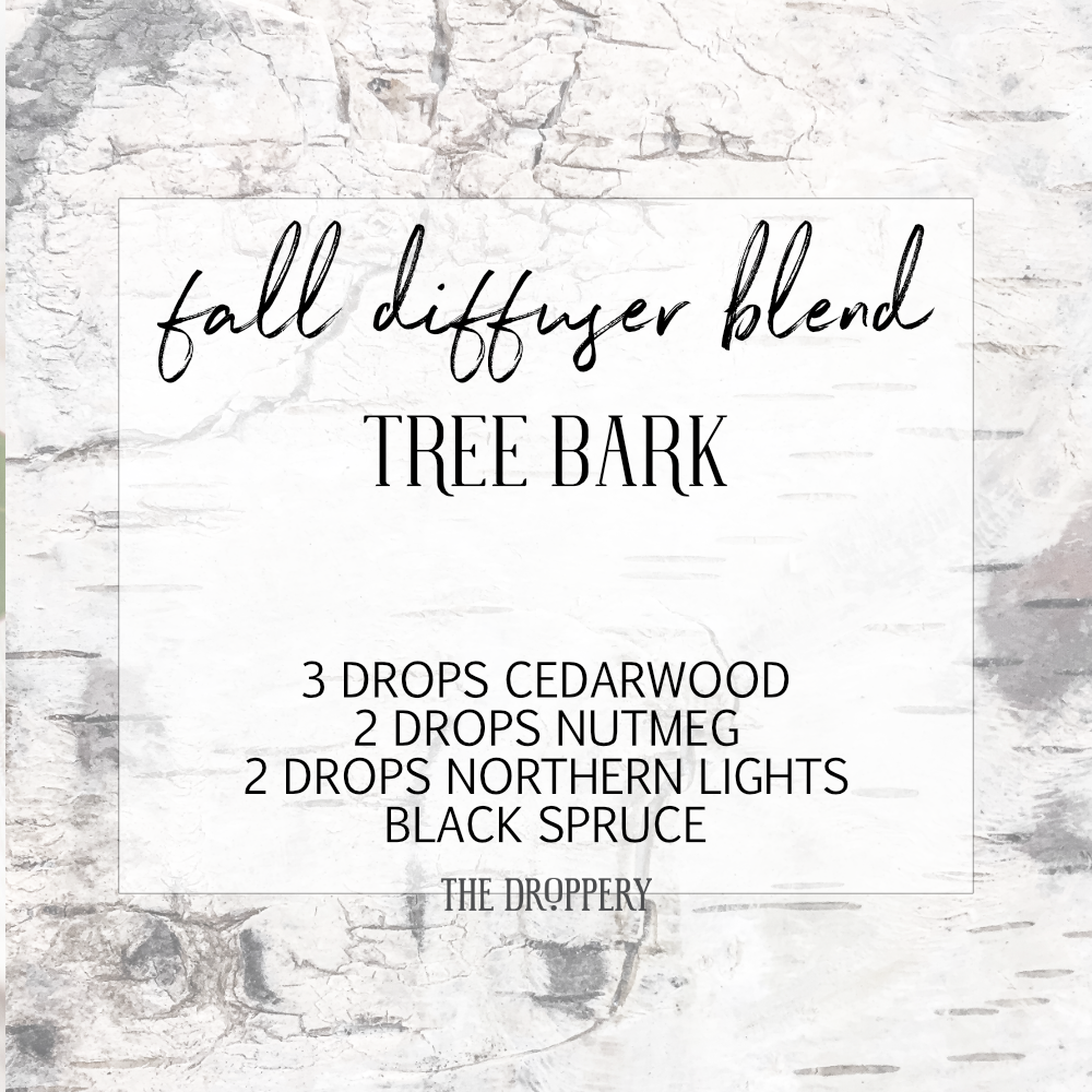 fall_diffuser_blend_tree_bark.png