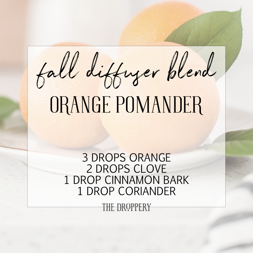 fall_diffuser_blend_orange_pomander.png