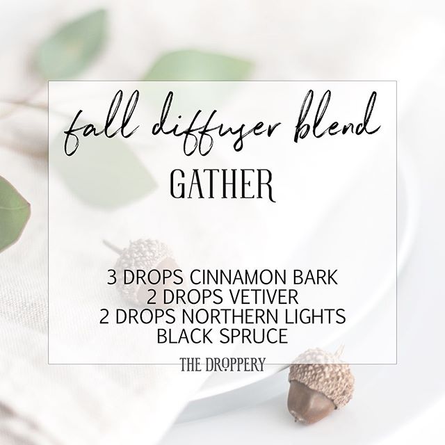 It&rsquo;s that time - when we gather together we the ones we love the most. Drop this in your diffuser and soak it all in!