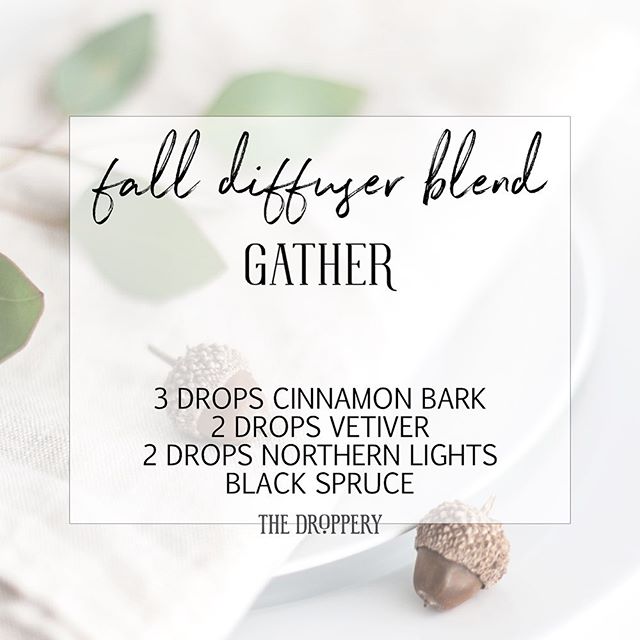 It&rsquo;s that time - when we gather together we the ones we love the most. Drop this in your diffuser and soak it all in!