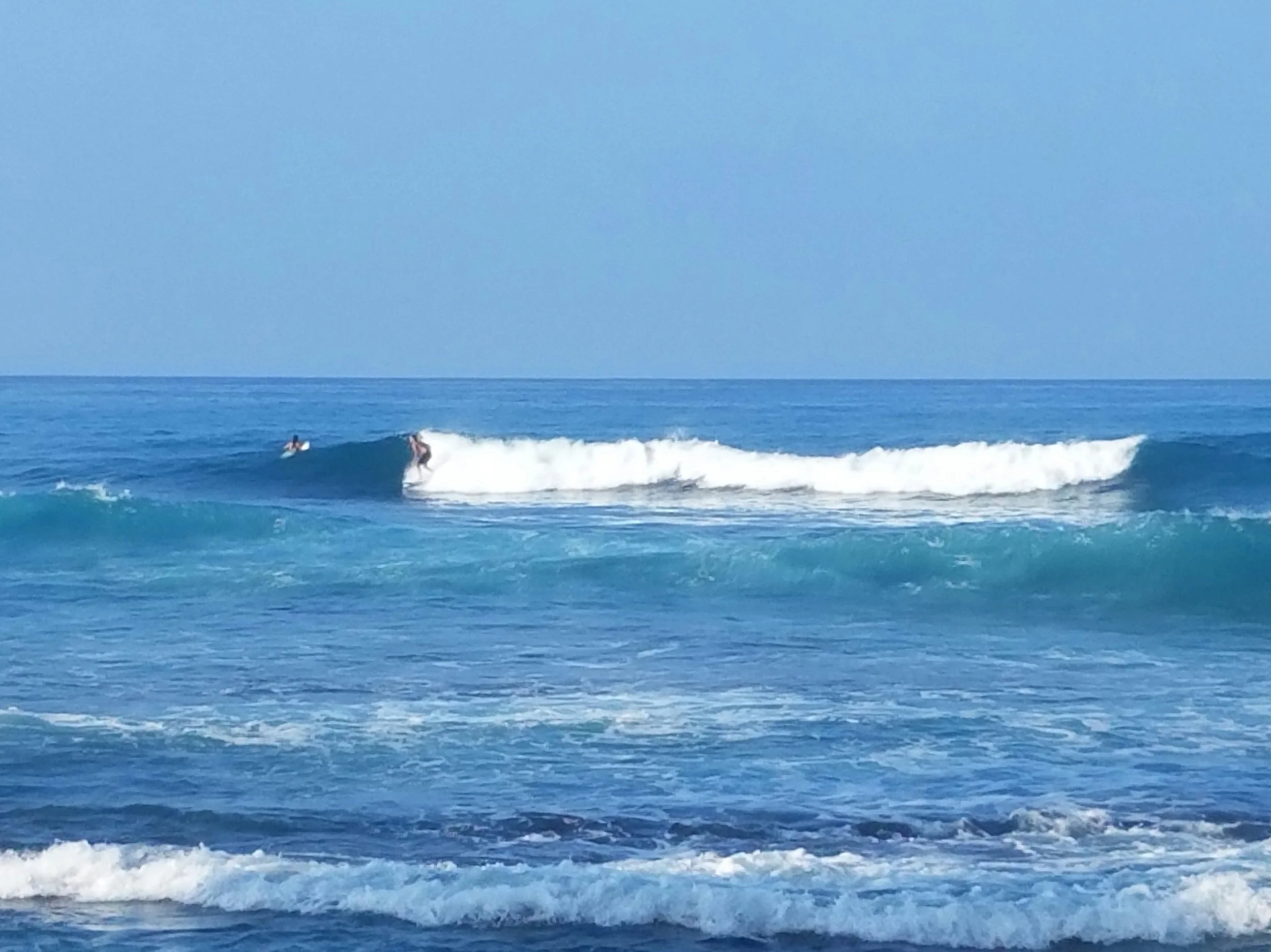 Surfline.jpg