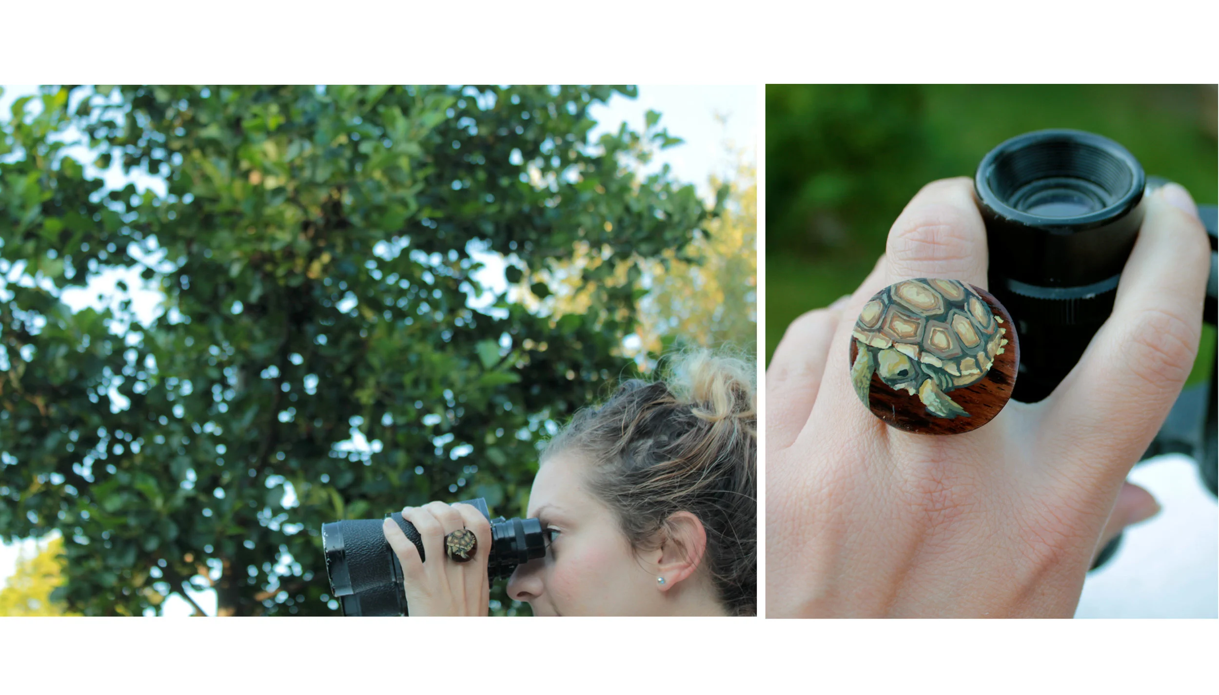 turtle ring.jpg