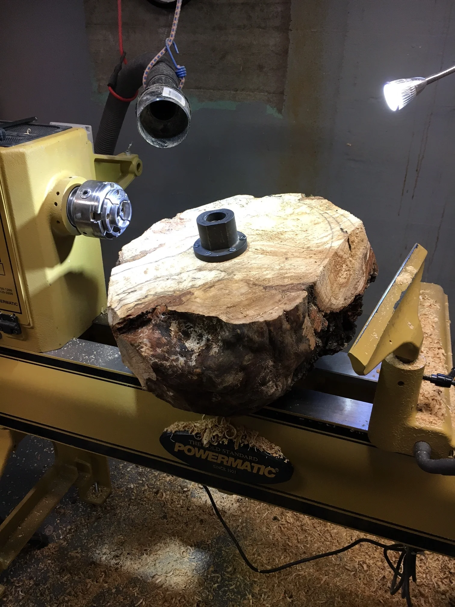 apple burl.JPG