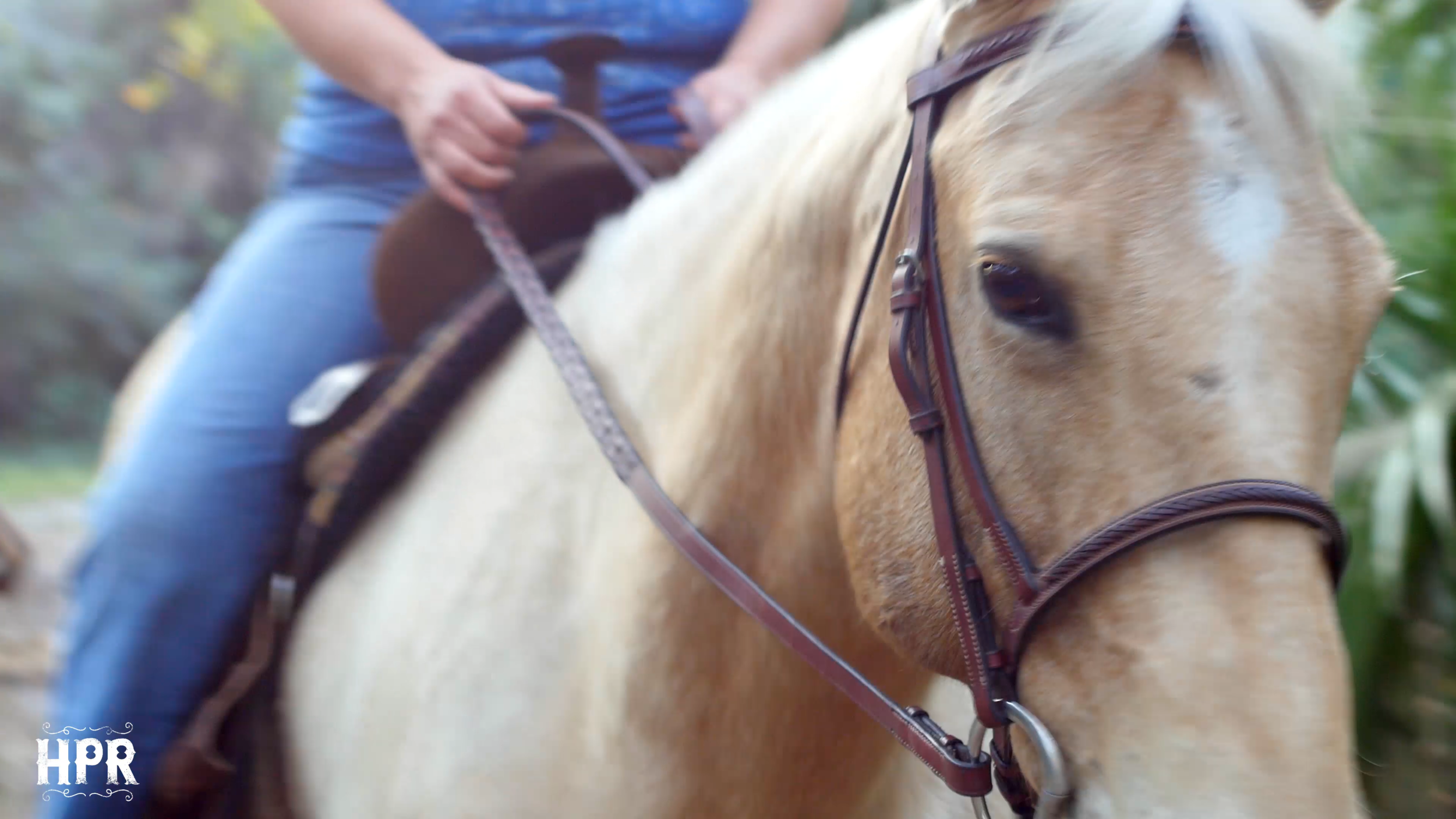 vid pic 5.png