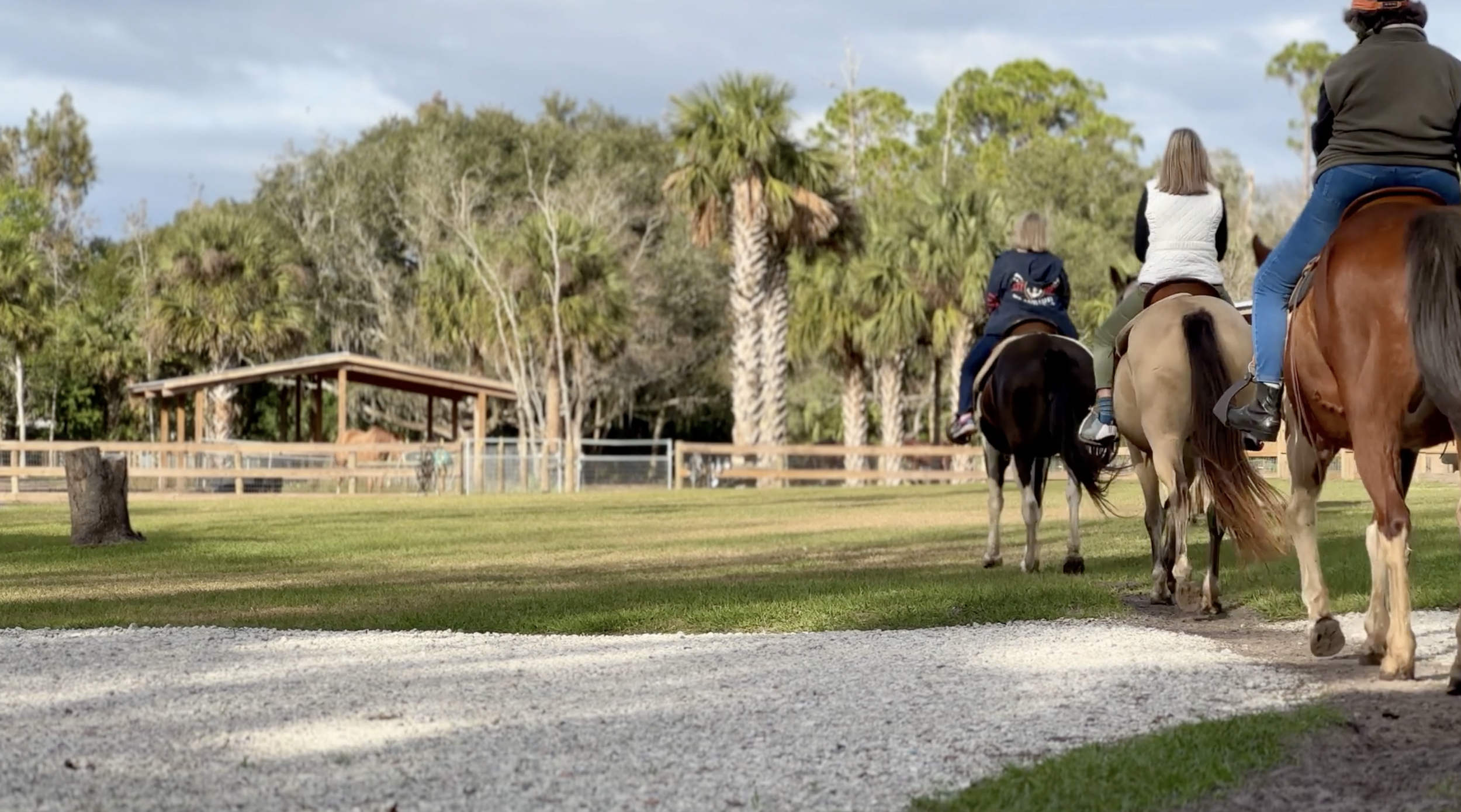 Team Outings on the Ranch.png