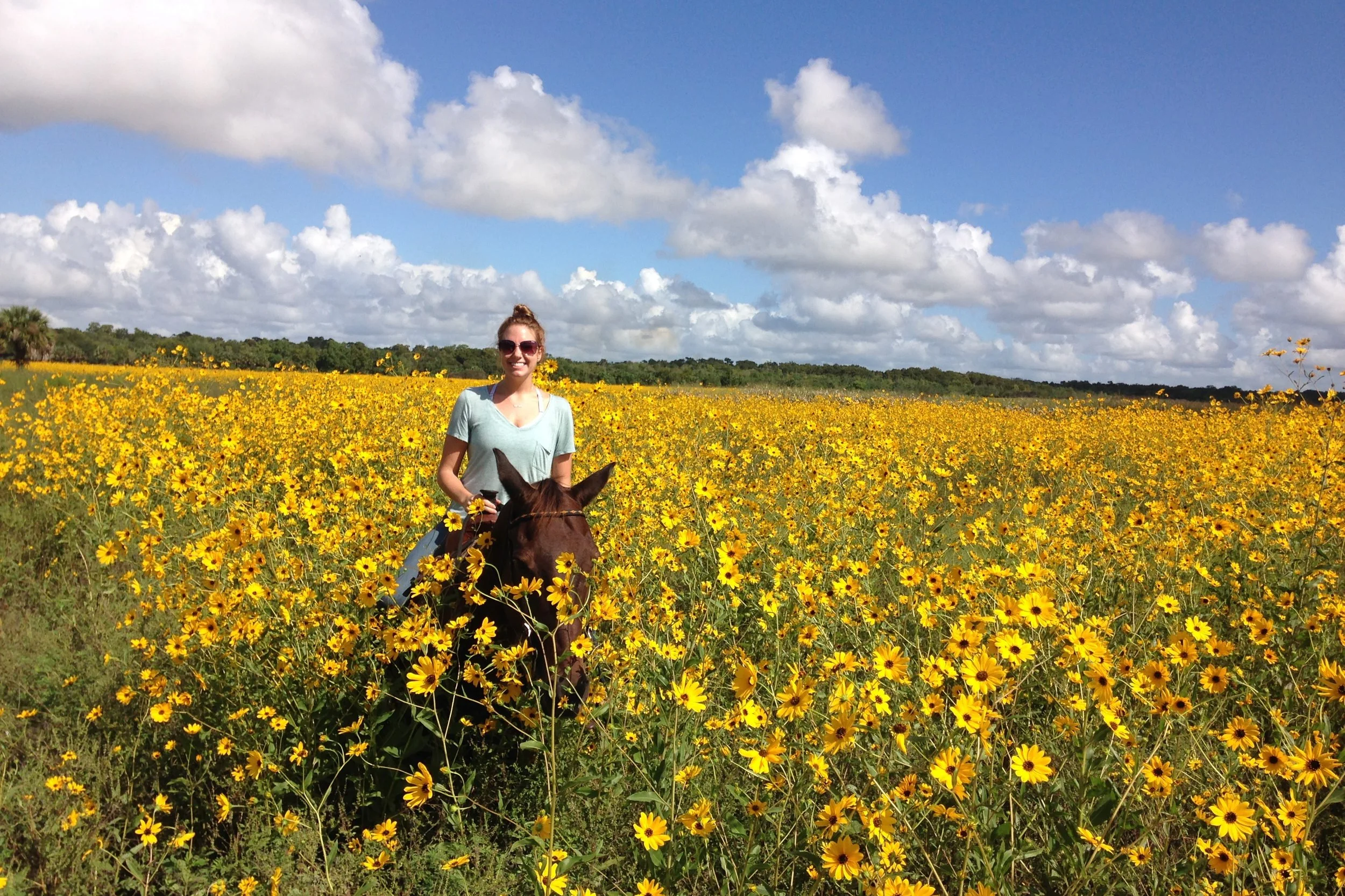 wild-sunflower-ride-lake-jesup-hero.jpg