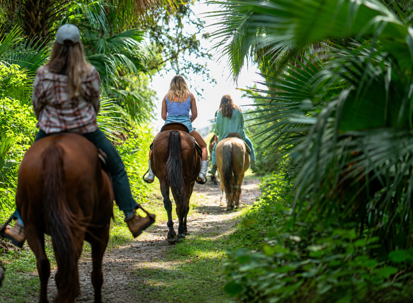 Horseback Riding Sanford Florida.png
