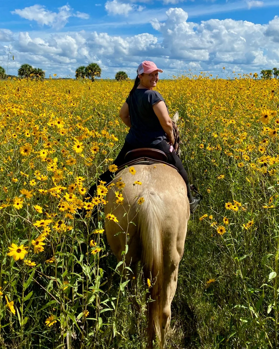 Rider on a palomino horse looking back through the swamp sunflowers