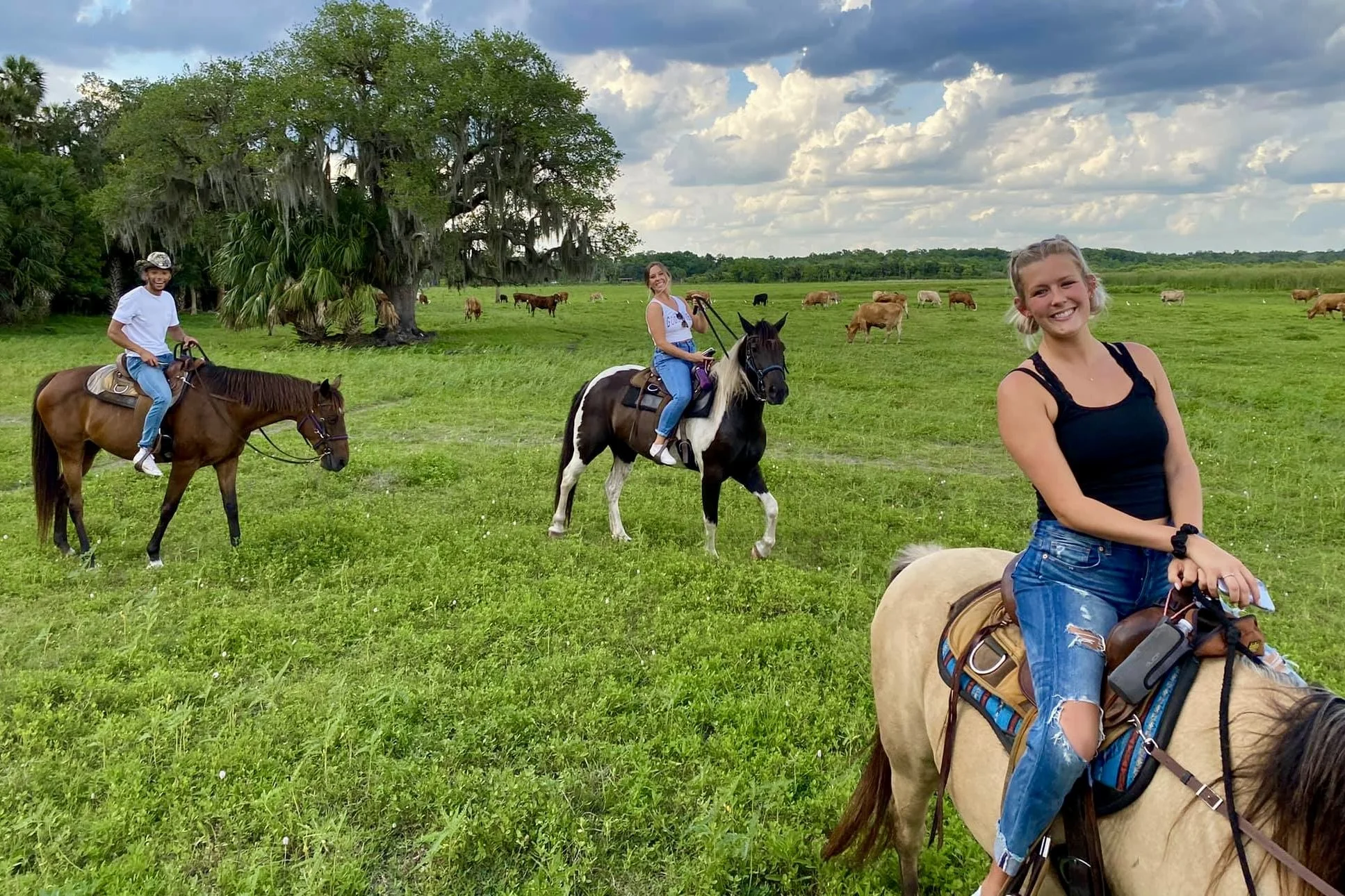 Three riders on horseback in an open pasture near Lake Jesup, with cattle grazing beneath a live oak behind them