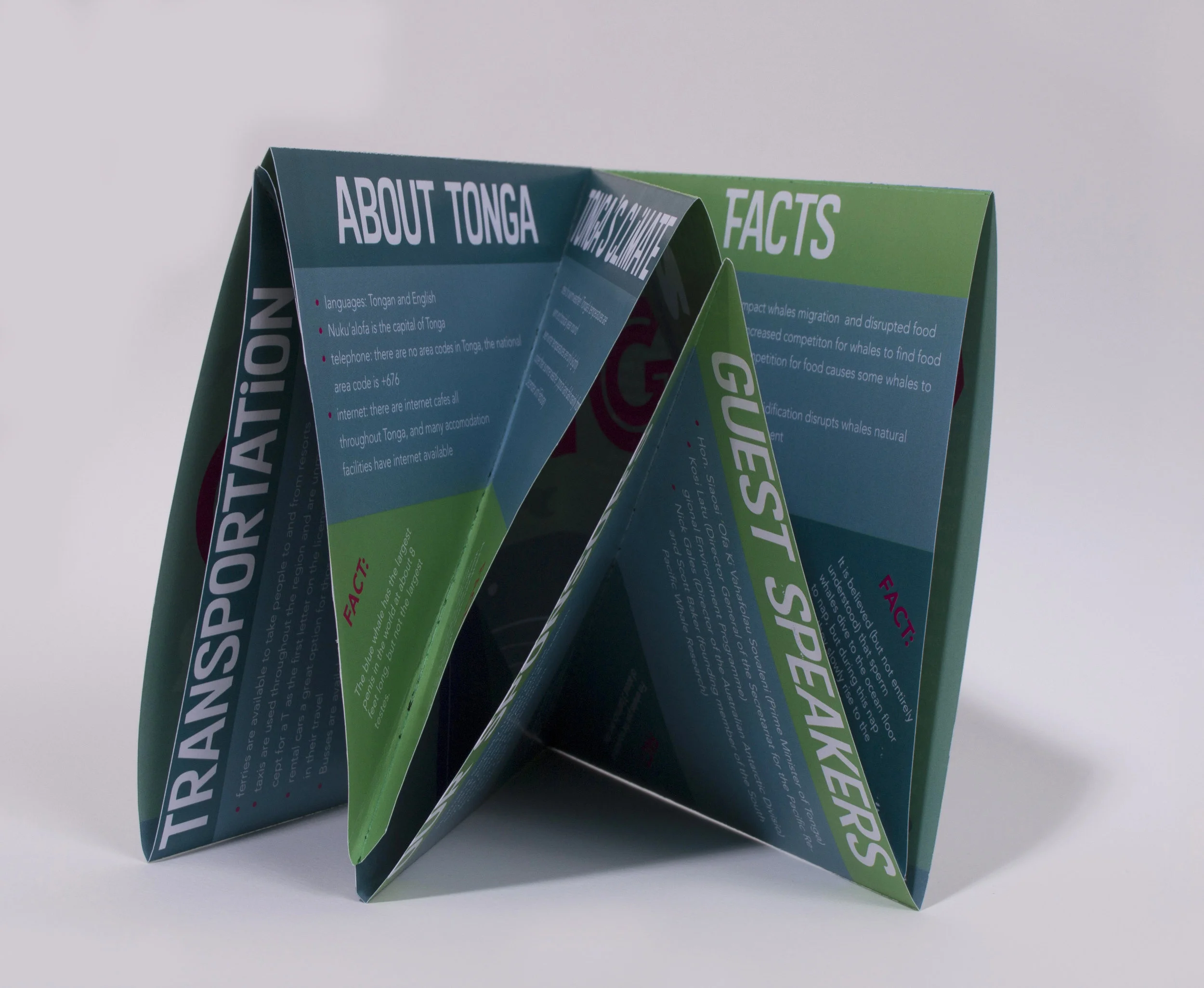 side view of clam fold 