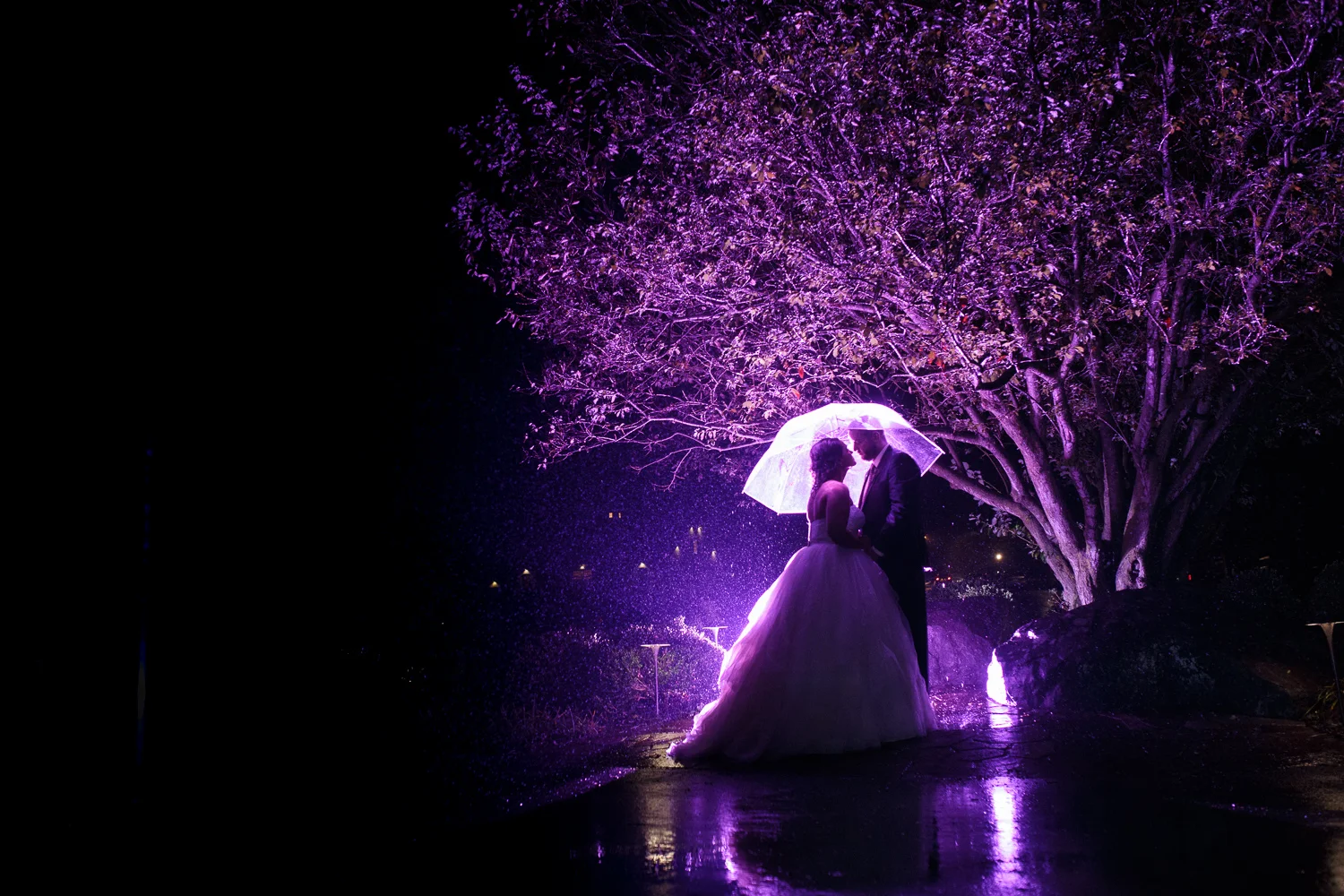 COVER PIXIESET SMITH-1.jpg