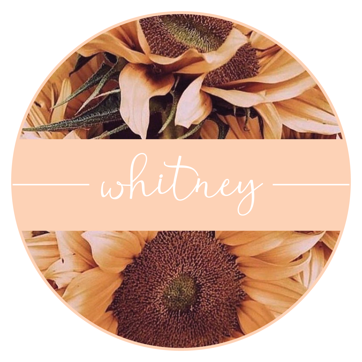 Whitney.png