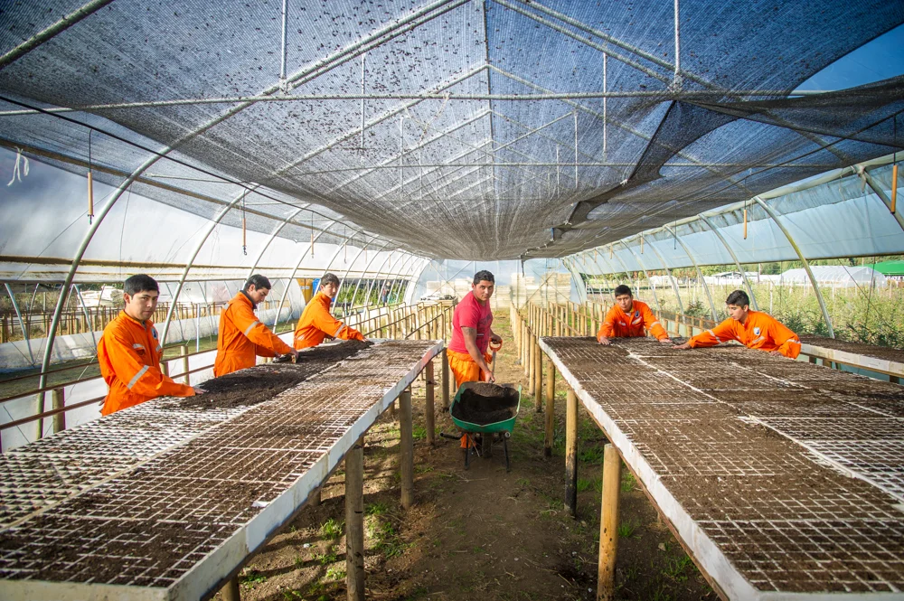 Former forestry engineer Rafael shows a group of teenage students at People Help People Pullinque Vocational High- School how to prepare seed trays.