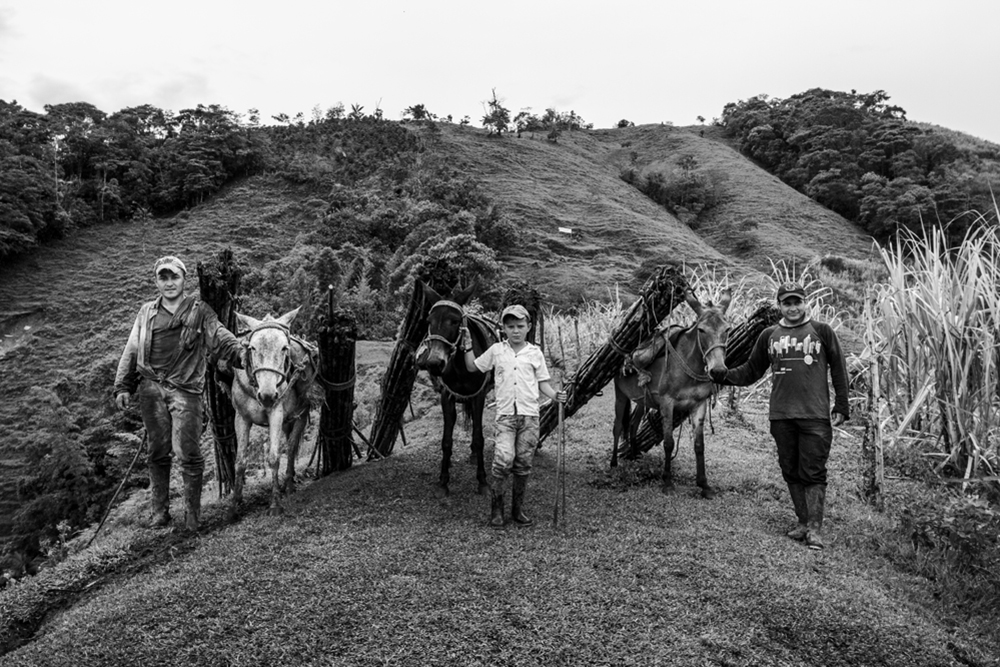 Colombia_2918_Oscar_B._Castillo_02_Mar_2016_8.jpg