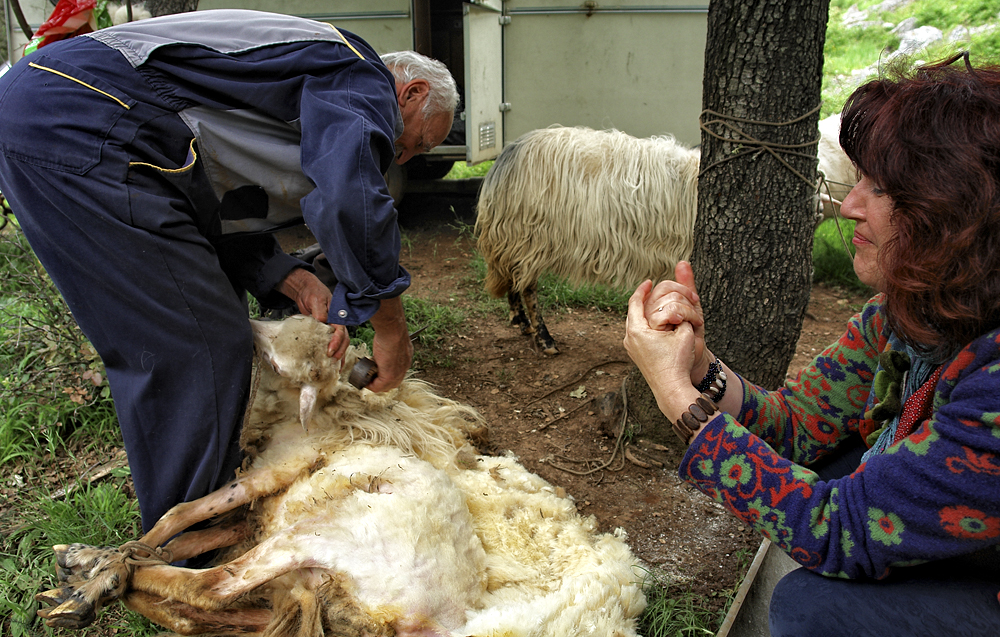 Croatia_2312_Petar_Kürschner_03_Feb_2016_3.jpg