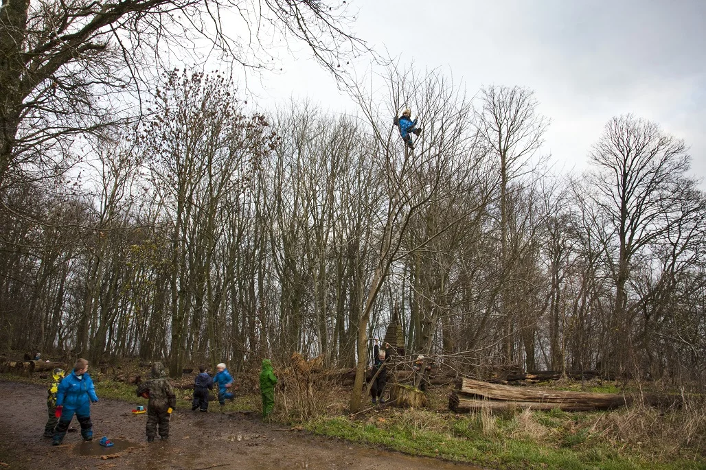 Denmark_MBorowiec_001.jpg