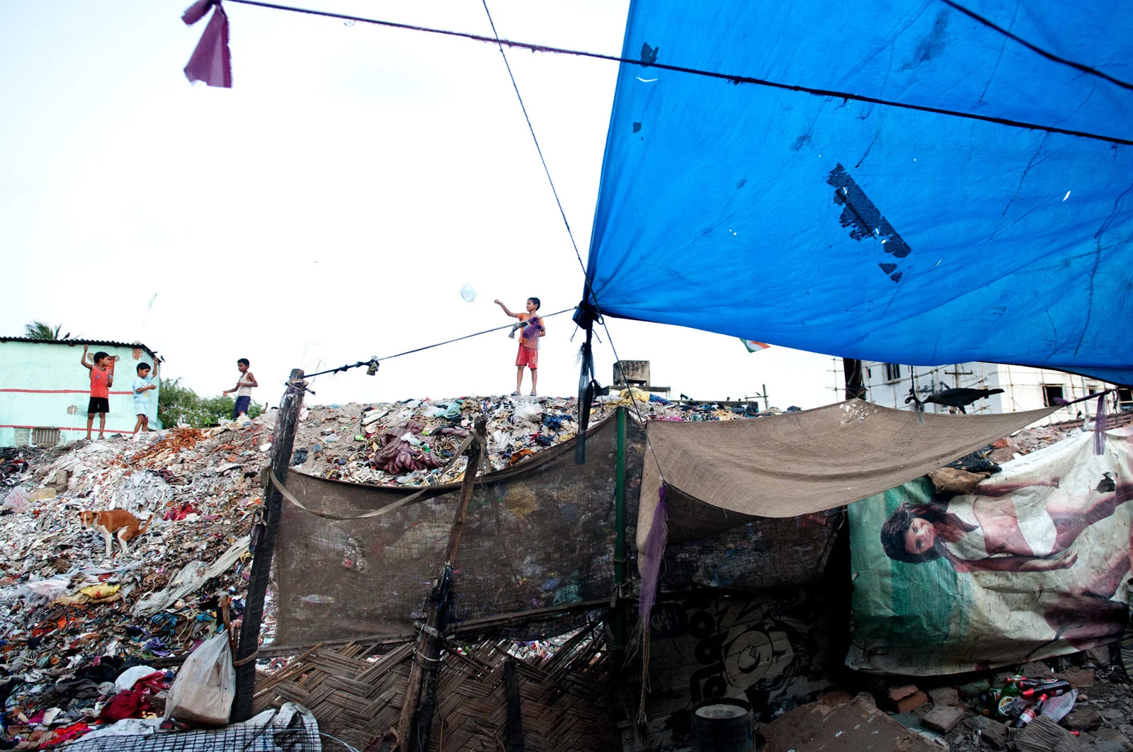 India_2199_SUDIPTO_DAS_21_Jan_2016_0.jpg