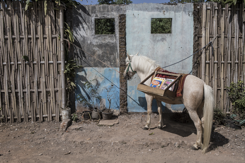 Indonesia_2204_Putu__Sayoga_22_Jan_2016_0.jpg