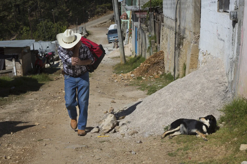 Mexico_2783_janet_jarman_29_Feb_2016_3.jpg