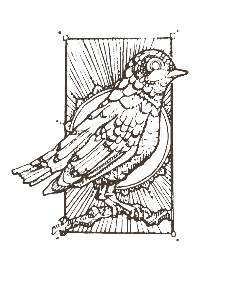 bird.png