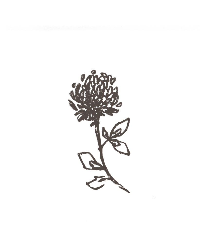 redclover.png