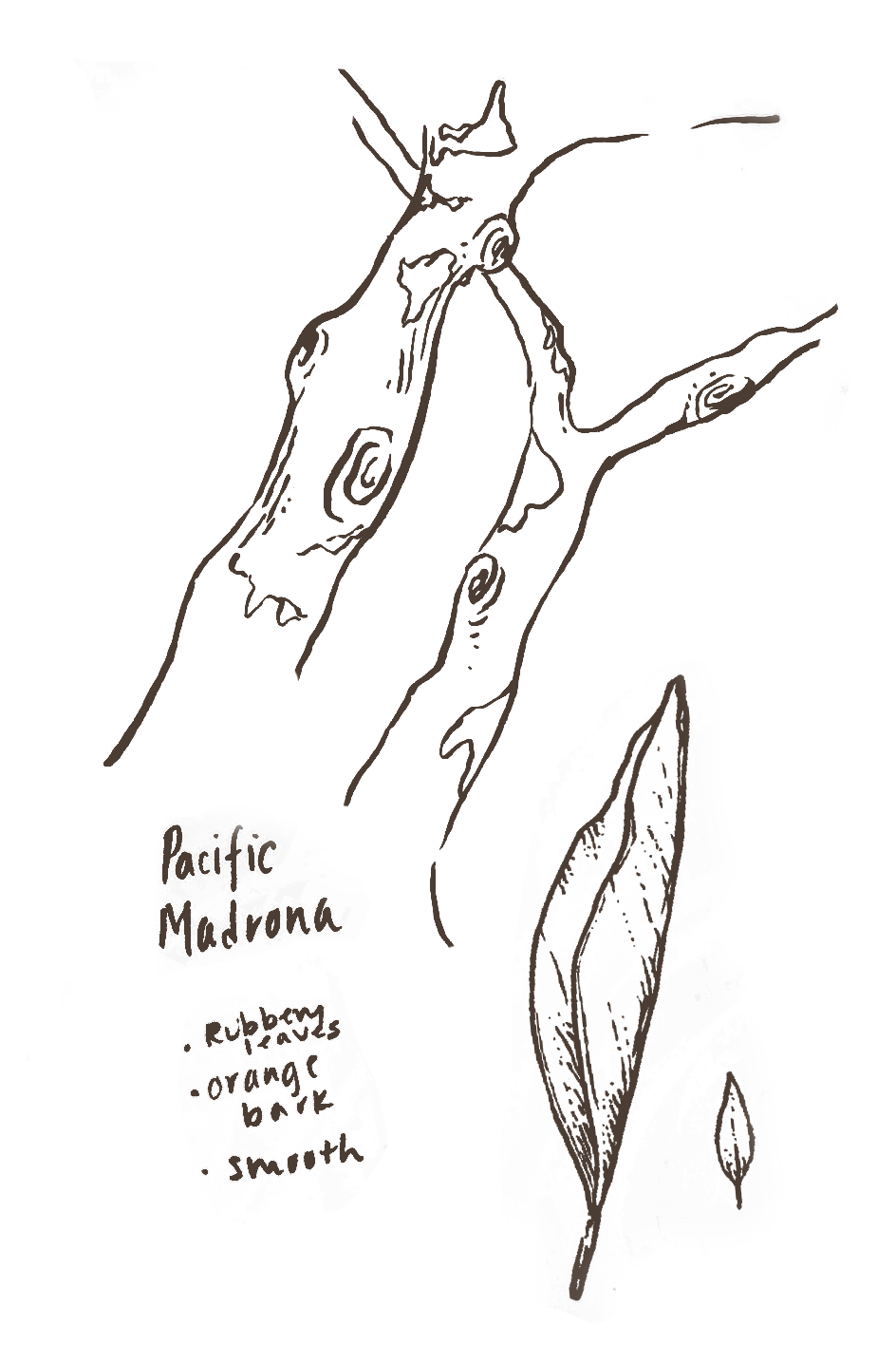 August_19.png