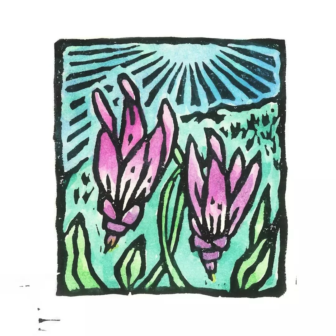 The Frigid Shooting Star was a welcome sight after miles trekking through bog and mud. I love how their petals twirl with motion as if they really did just shoot down from the sky.

Photo: CT Johansson