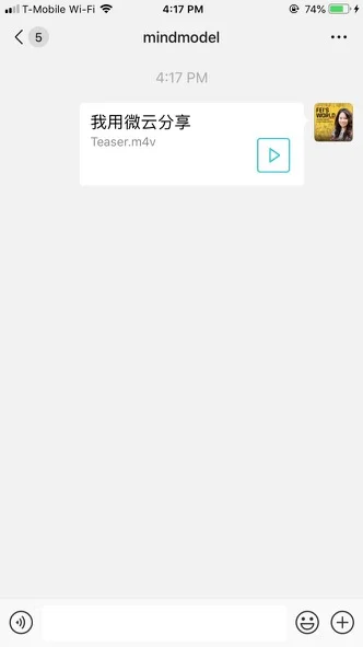 After you share a Tencent file - this is what you will see in the chat window you both share.