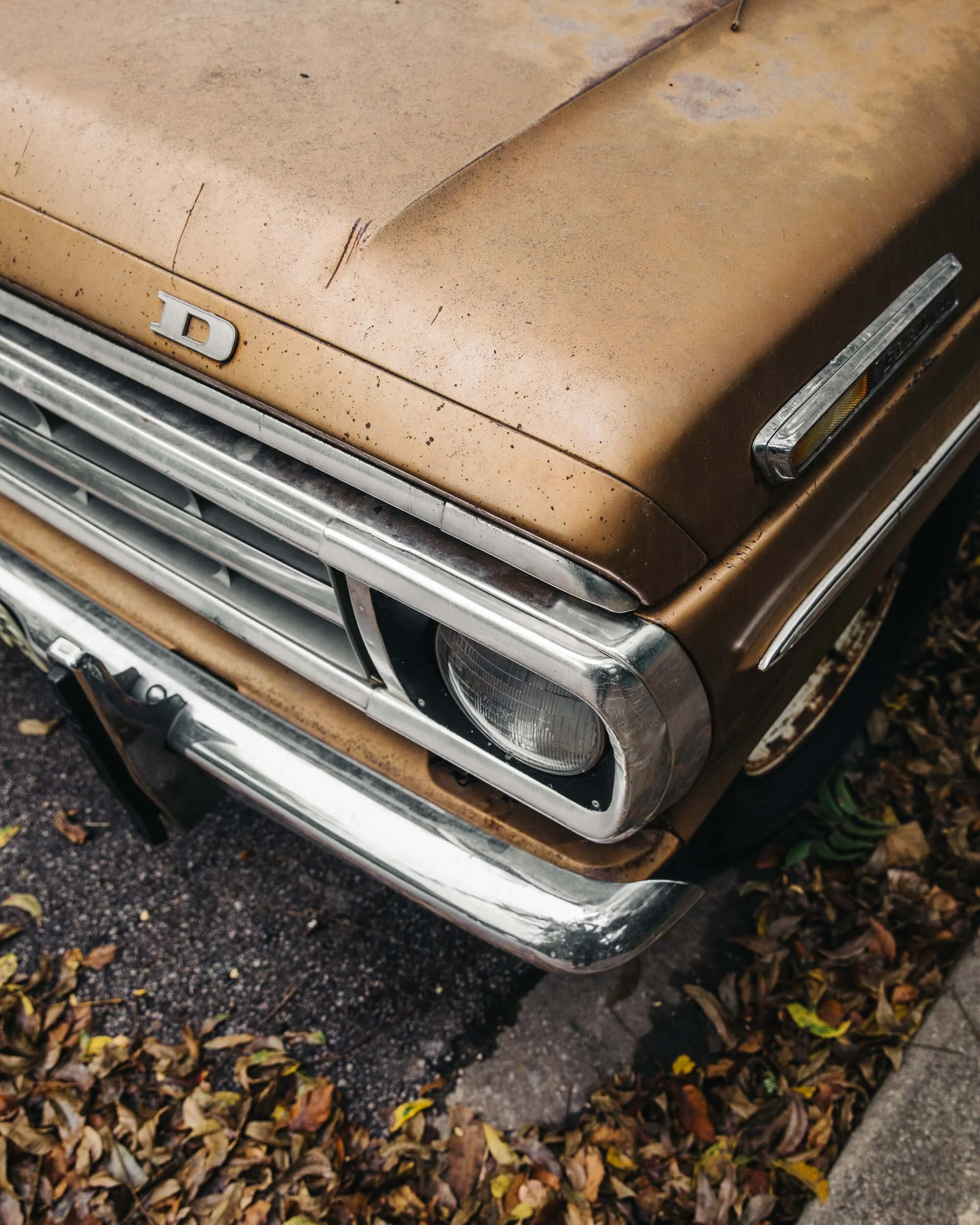 automotive-2.jpg