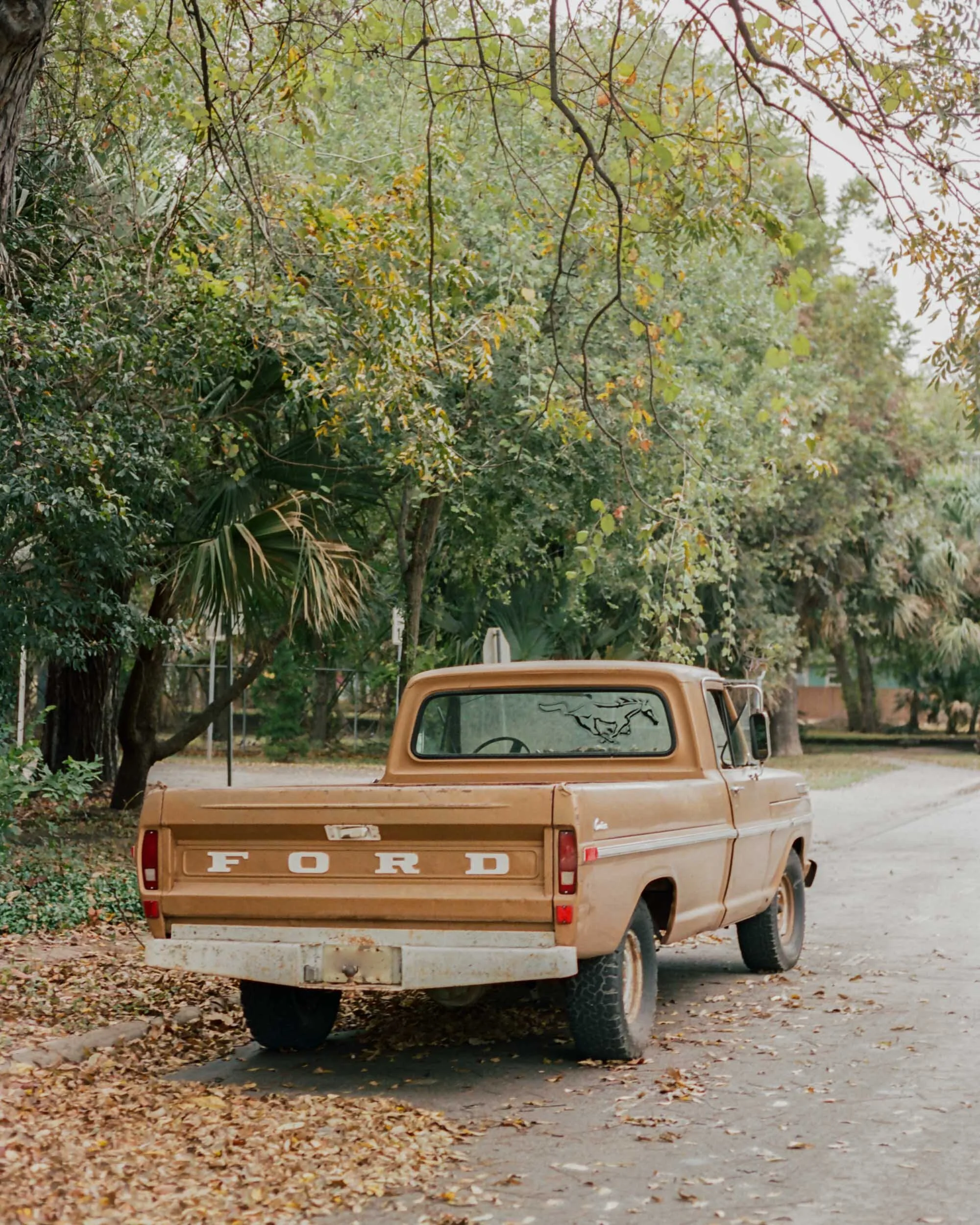 automotive-3.jpg