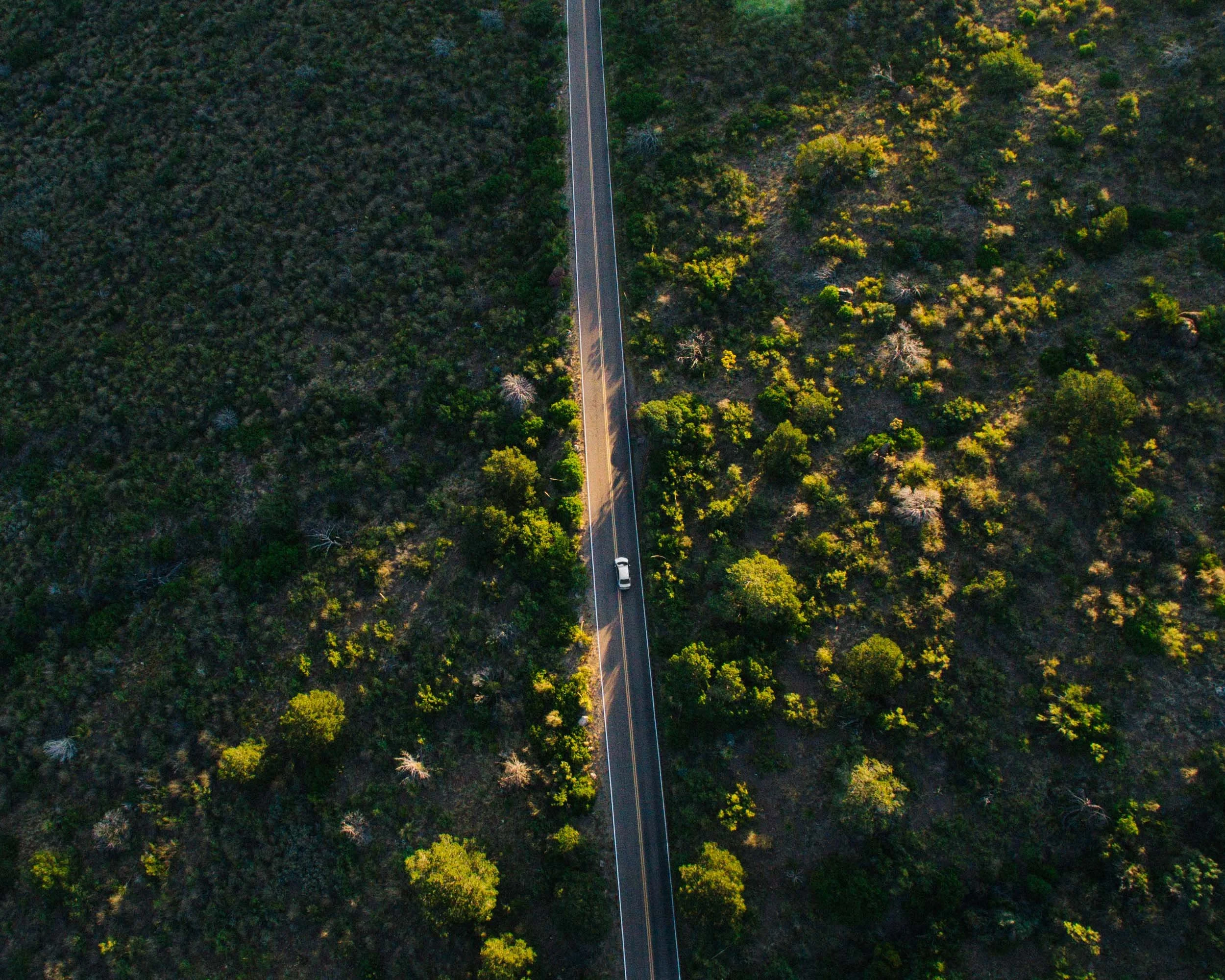 big-bend-12.jpg