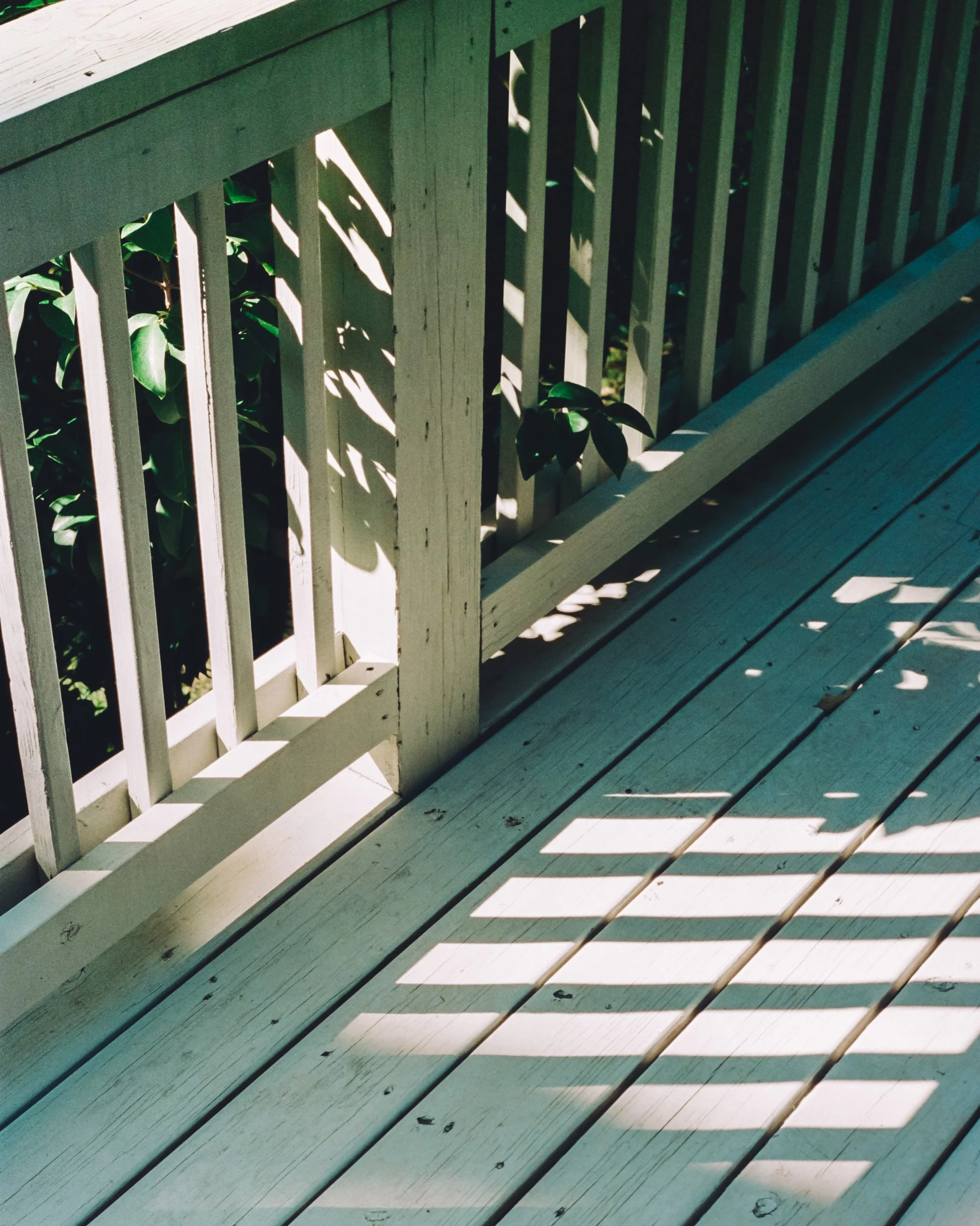 point-shoot-38.jpg