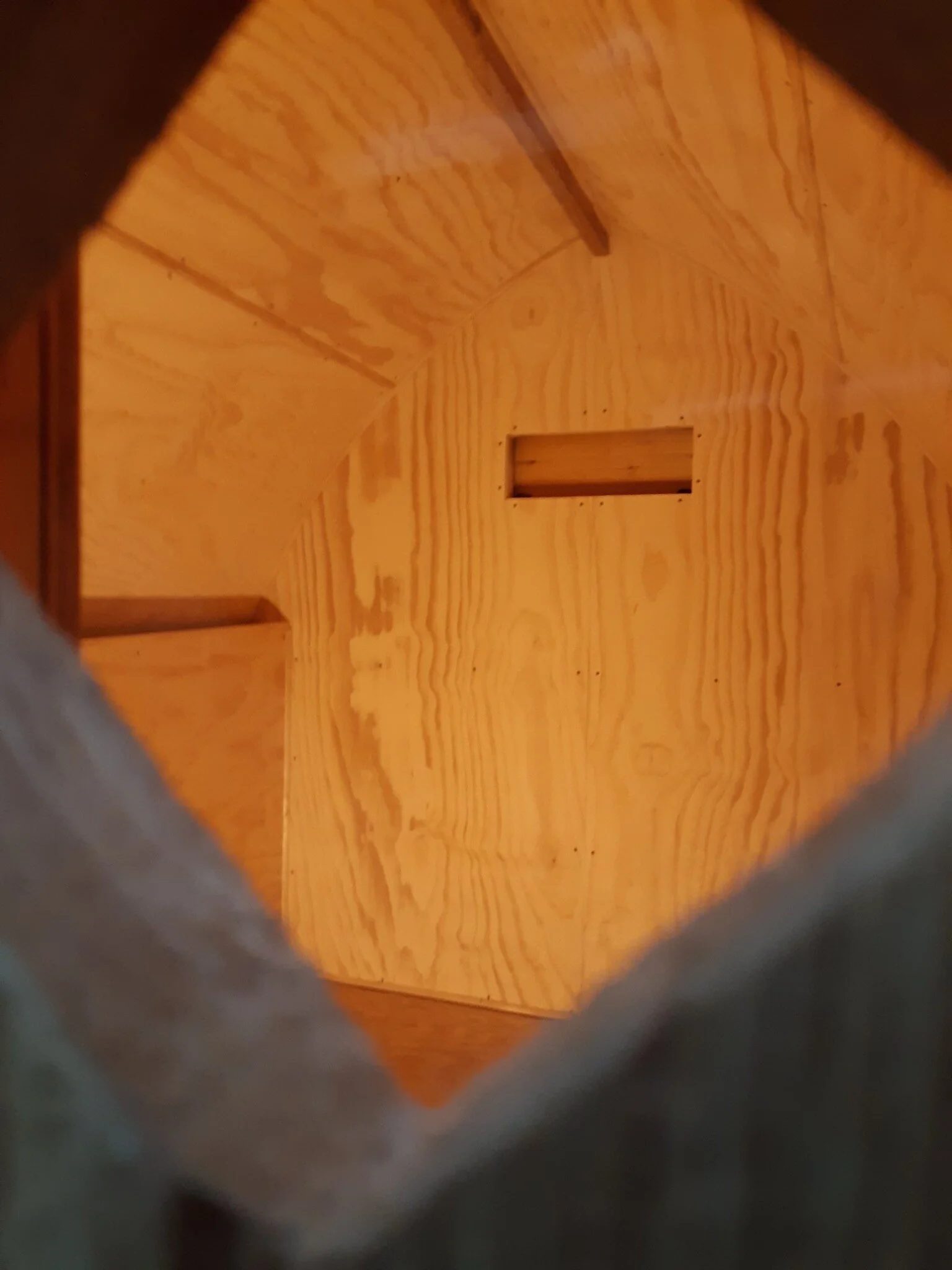 Longhouse interior.jpg