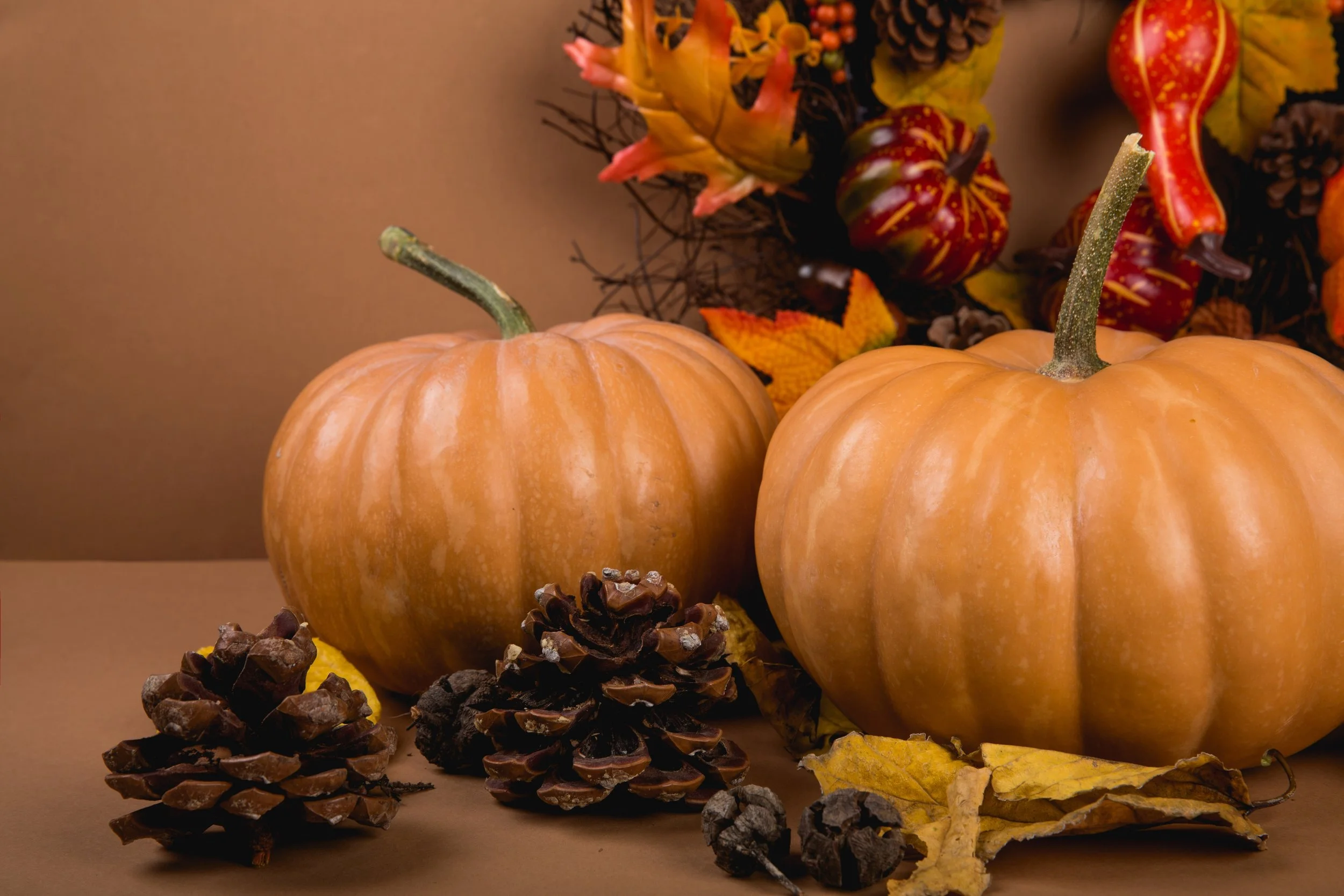 agriculture-autumn-background-619422.jpg
