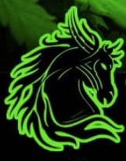 4-Horsemen Productions presents End of Summer SMOKE OUT