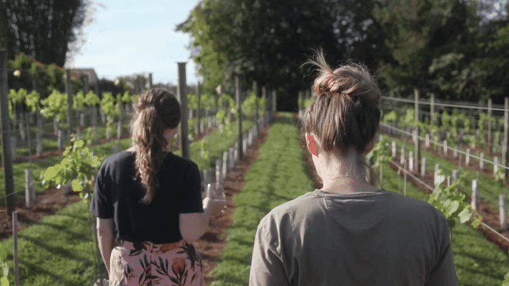 Destination Scenic Rim Farm Gate Trail Teaser 1-high.gif