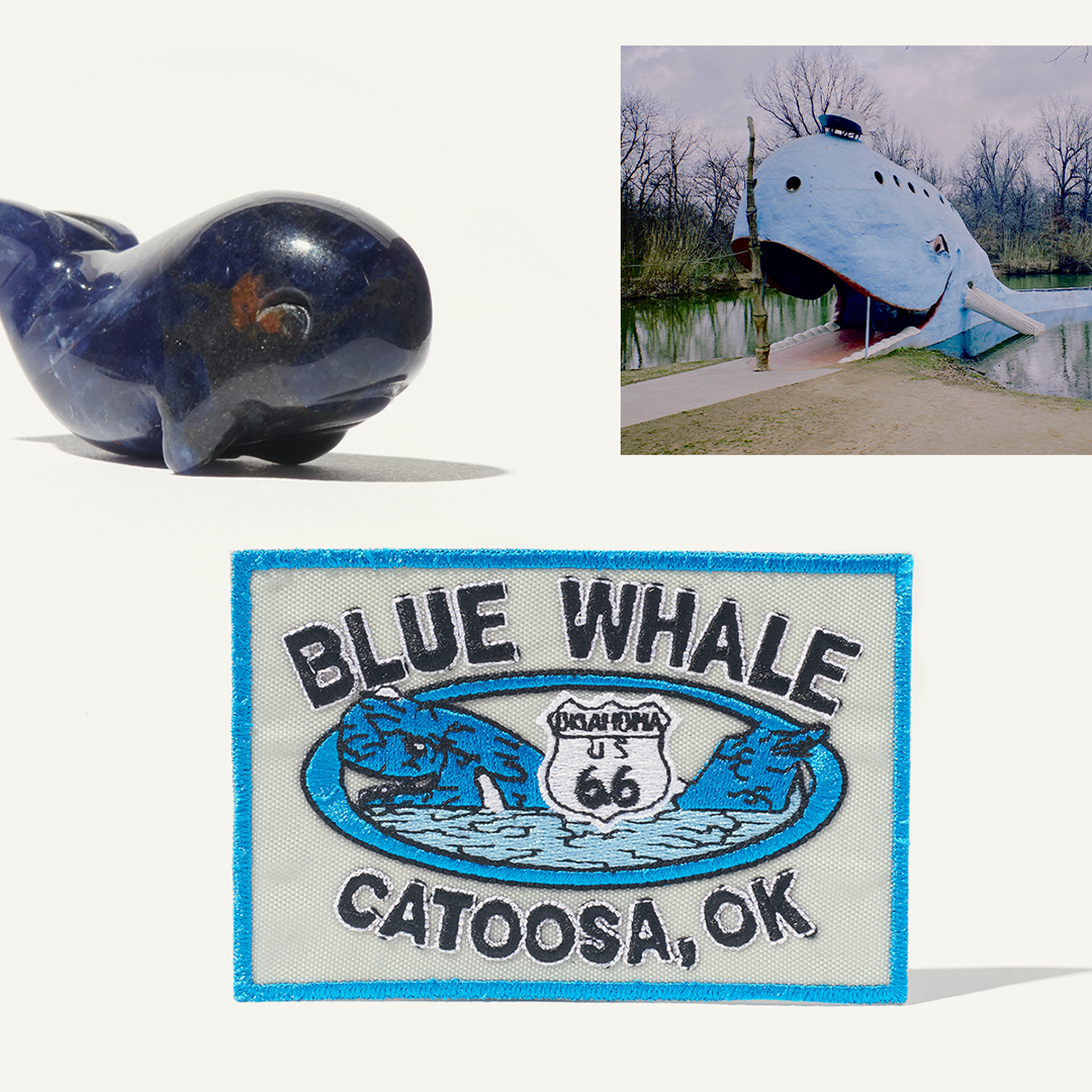 BlueWhale_IGCarousel_03g.png