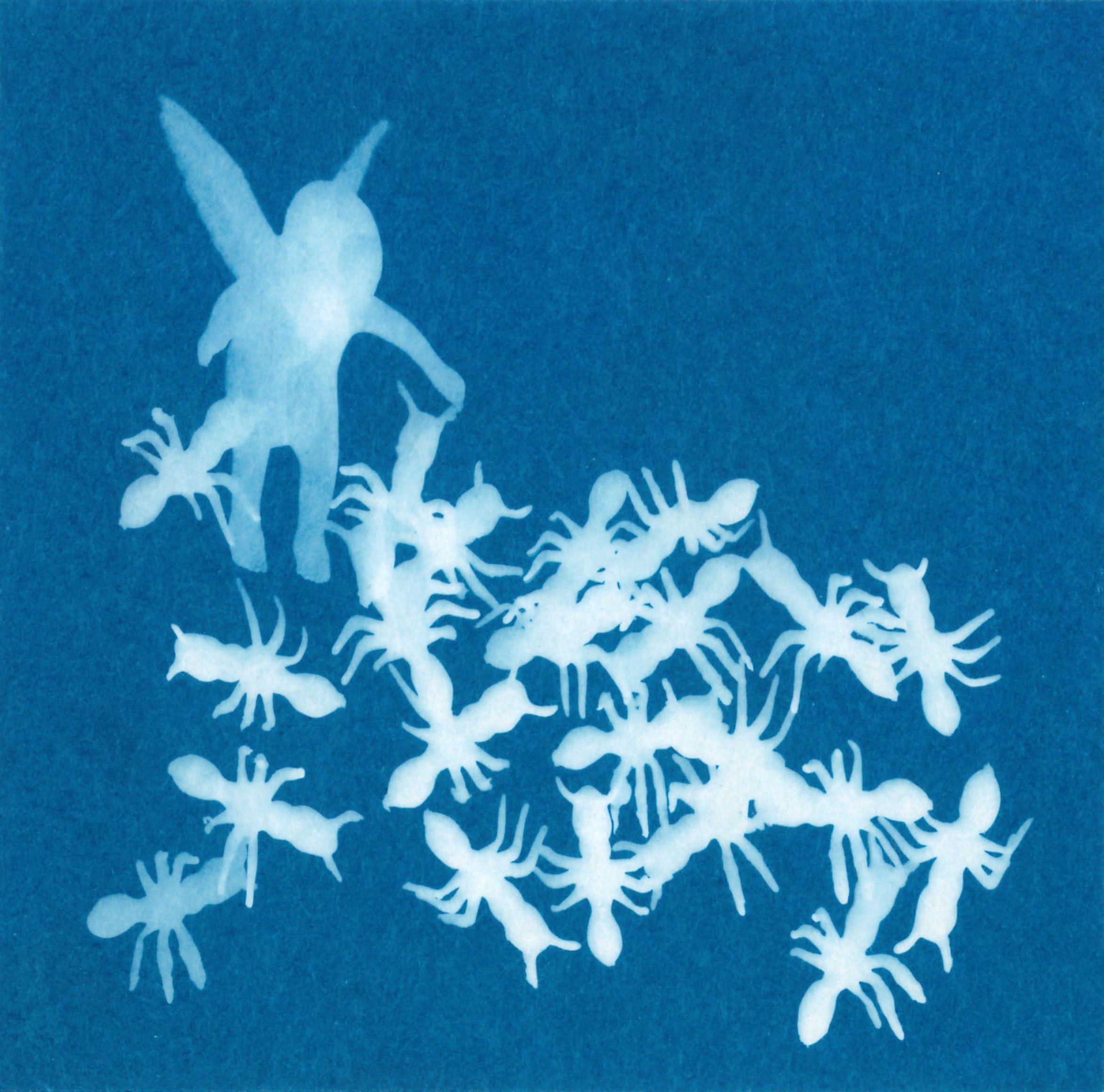 Cyanotype_03.jpg
