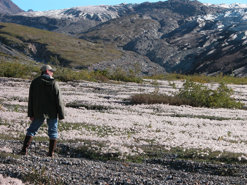 0206192908821_imageeditor_Dryas_hike.jpg
